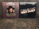 Waylon Jennings Two 12