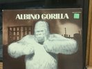 ALBINO GORILLA Detroit Sounds 1970 Detroit 1984 KSBS 2028 Gatefold