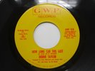 Debbie Taylor How Long Can This Last / Don't Let it End 45 GWP Northern Soul