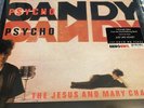Psychocandy by The Jesus and Mary Chain (Record, 2004) Sealed 180 Gram