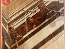 The Beatles – 1962-1966 2LP USED NOS STILL SEALED Red Vinyl DMM German Pressing