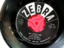Vintage 1961 DOO WOP 45 THE CATALINAS HEY LITTLE GIRL  ZEBRA Label ORIGINAL VG+