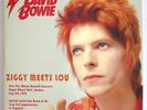 DAVID BOWIE - ZIGGY MEETS LOU - VERY RARE 2LP 100 MADE ONLY MARBLED GREEN VINYL