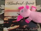 Rare (LP) KINDRED SPIRIT carry the flame(2007) Swedish isd (with Paul Burnley)