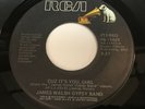 James Walsh Gypsy Band - Cuz It's You, Girl / Bring Yourself 45 - Modern Soul