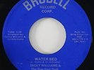 Dicky Williams & The Raw Soul Orch. 