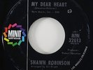 Shawn Robinson 