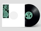 REM Earth Percent Rare Bioplastic Eco Vinyl 12
