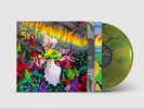 Built to Spill When the Wind Forgets Your Name (Vinyl) 12