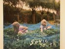 Sonic Youth, Murray Street, Vinyl LP Record 2002 Goofin’ 1st Press SEALED