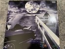 1999 Original Press Eminem The Slim Shady LP Vinyl Record Rare OG