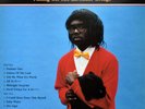 Lightspeed Champion - Falling Off The Lavender Bridge - Blood Orange - LP (2008)