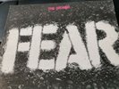 Fear - The Record LP  Vinyl