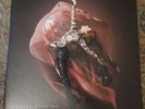 Lindsey Stirling - Brave Enough 2 LP (Ultrasonic Cleaned)