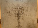 Cynic Re-Traced Ep Lp Vinyl 7” Used Traced Focus Kindly Codes Death Gordian Knot