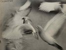 Donald Byrd Free Form (mid 70's blue label reissue)
