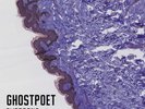 GHOSTPOET - Shedding Skin (Reissue) - LP
