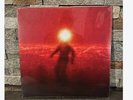 INJURY RESERVE Vinyl By The Time I Get To Phoenix Clear Smoke Vinyl LP