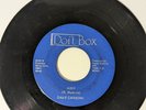 Magic Lady/Judy DAVE CARBONI 45 RPM SOUL RARE