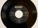 MARVELLS Did She Leave You/Lovely Charms RARE DOO WOP 1959 ORIG 45 Magnet HEAR