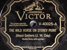 Jilson Setters VICTOR 40025 E 