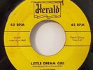 Cashmeres LITTLE DREAM GIRL / DO I UPSET YOU (RARE DOO WOP 45) #474 PLAYS VG