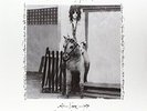 PATTI SMITH - Horses: Live At Electric Lady Studios (2lp/180g) (rsd) - 2 Vinyl