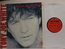Tony Joe White ‎– Closer To The Truth- LP 1992 EU- Remark Records ‎– 511 386-1
