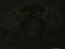 Jay-Z - The Black Album SEALED NEW 2LP Vinyl Hip Hop Roc-A-Fella