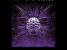 Front Line Assembly - Corrosion - Purple [New Vinyl LP] Colored Vinyl, Purple, R