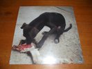 Slowthai Runt EP vinyl record