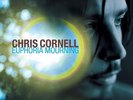 Chris Cornell - Euphoria Morning LP first release 2015