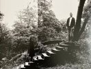 Timber Timbre ‎– Timber Timbre (Numbered LMTD Edition, Somke Vinyl) NM Condition