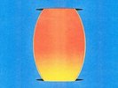 Holy Hive - Float Back To You [New Vinyl LP]