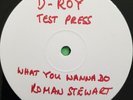 D-ROY. WHAT YOU WANNA DO.ROCKERS DELIGHT. ROMAN STEWART.REVOLUTIONARIES.12