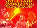 Buffalo Revisited - Volcanic Rock Live [New Vinyl LP]