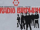 Radio Birdman - 1974-78-Essential Radio Birdma [Used Very Good Vinyl LP]