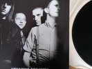 Chasing Dreams - Vinyl LP /Oi Ror Rebelles/Punk /