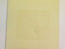 Bon Iver ‎– For Emma, Forever Ago 10th ￼ Anniversary Vinyl