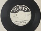 Dee Cals DOO WOP 45 Stars In The Blue What Should I Do / Wonderful CO ED DJ HEAR