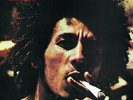Catch a Fire - Bob Marley and The Wailers - Vinyl 12