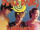 Blake Babies - Sunburn - Leaf Green Opaque [Used Very Good Vinyl LP] Colored Vin