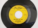 DARROW FLETCHER-WHAT HAVE I GOT NOW/SITTING THERE THAT NIGHT 45 JACKLYN 1002  VG