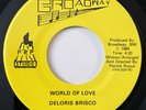 DELORIS BRISCO World of Love BROADWAY 45 Rare Modern Soul Stepper HEAR