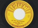 GARAGE ROCKER - RANDY AND THE RADIANTS - MY WAY OF THINKING - HEAR 1965 SUN 398