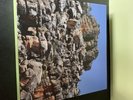 Merzbow Merzbient - Electronic/Noise/Experimental Ltd Edition Boxset Red Vinyl