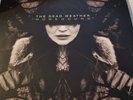 The Dead Weather Horehound Lp Jack White