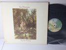 Van Morrison - Tupelo Honey, WS-1950 LP ULTRASONIC CLEAN