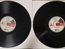 DAVE ALVIN - ASHGROVE [WHITE LABEL TEST PRESSING]