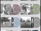 TAYLOR SWIFT Folklore LP  Set of 8 WEB EXCLUSIVE COLOR VINYL EDITIONS New SEALED